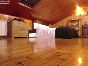 cam girl porn wildtequilla image #1059464