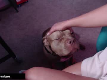cam girl porn holihurricane image #6888396