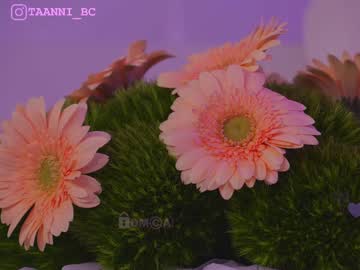cam girl porn taanni_bc image #5160666