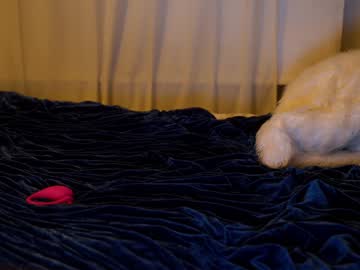 cam girl porn ellaa91 image #1000990
