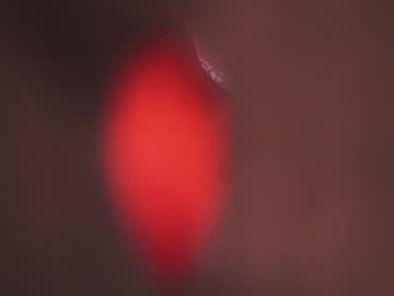 cam girl porn _lyza_ image #6225608