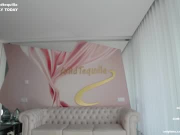 cam girl porn wildtequilla image #4692211