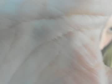 cam girl porn scartit image #3175762