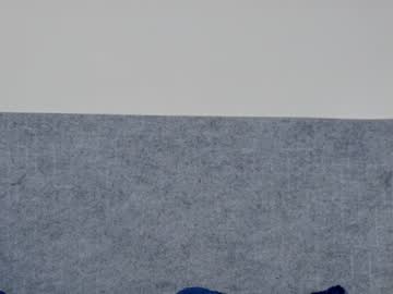 cam girl porn sapphirealice image #464261