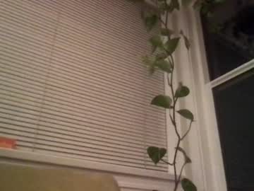 cam girl porn bambis_honeypot image #947307