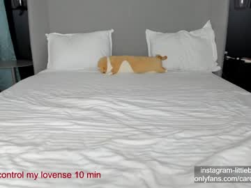 cam girl porn carolinaherera image #6659463
