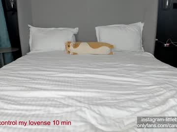 cam girl porn carolinaherera image #6436094