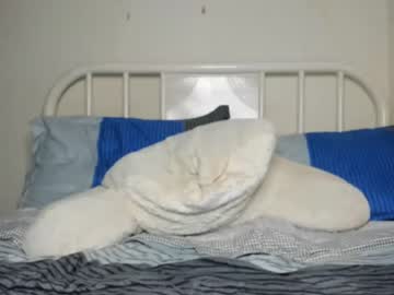 cam man porn willyt98 image #2573549