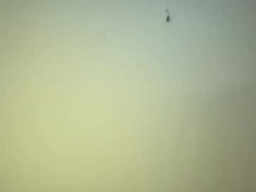 cam man porn edgingandgooning image #7034708