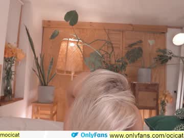 cam girl porn ocicat image #2504165