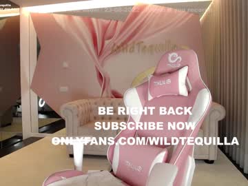 cam girl porn wildtequilla image #2516996