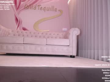 cam girl porn wildtequilla image #3721056