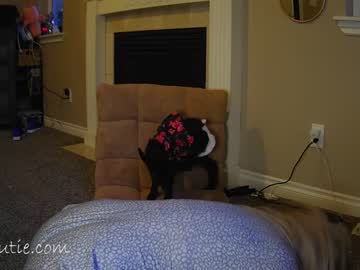 cam girl porn _shycutie image #6810715
