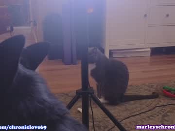 cam girl porn chroniclove image #5133051
