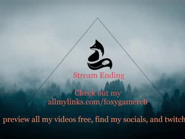 cam girl porn foxy_gamer image #2570703