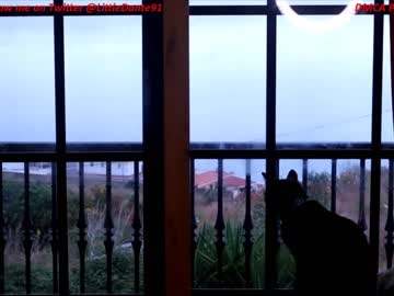 cam girl porn littledante91 image #1990232