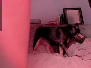cam girl porn katkittykate image #5136467