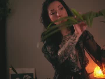 cam girl porn ambientink image #2518772