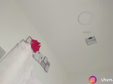cam girl porn shena_nomy image #6568200