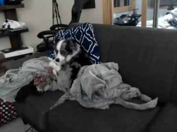 cam girl porn badkittycass image #3030044