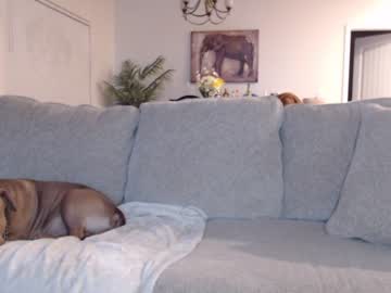 cam girl porn holihurricane image #4367006
