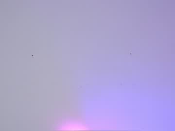 cam girl porn sapphirealice image #1288571