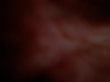 cam girl porn juliabeng1 image #2894010