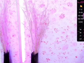 cam girl porn soon_lee image #1794847