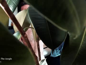 cam man porn bareleeworking image #4900194