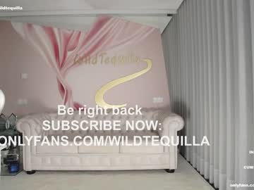 cam girl porn wildtequilla image #4950973