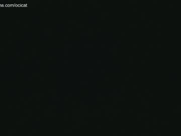 cam girl porn ocicat image #4244804