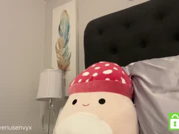 cam girl porn venusenvyx image #4466480