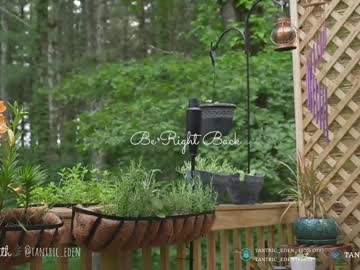 cam girl porn tantric_eden_ image #4673247