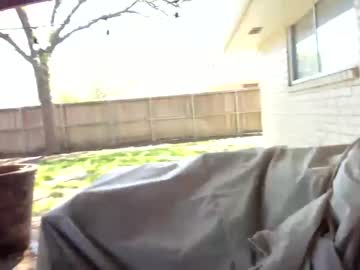 cam girl porn miss_bee image #4091098