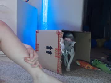 cam girl porn skyewatson image #2172959