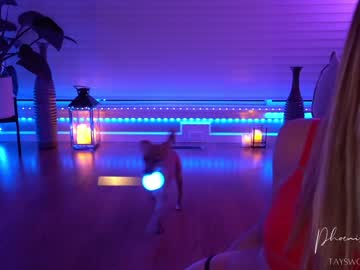 cam girl porn phoenix_taylor image #1068269