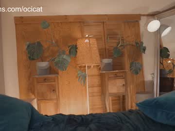 cam girl porn ocicat image #4987545