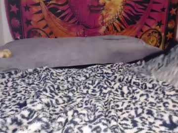 cam couple porn thingschangeletit image #6592184