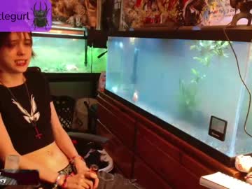 cam girl porn beetlegurl image #5663845