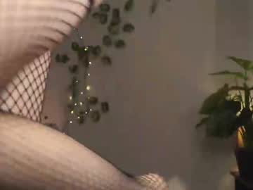 cam girl porn daisys_pleasureisland image #1220351
