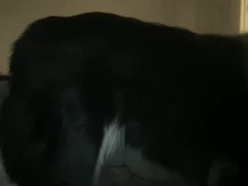 cam girl porn tpink95 image #4731366