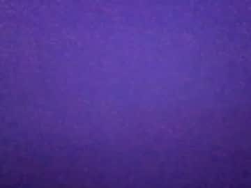 cam girl porn saltydog4437 image #6132431