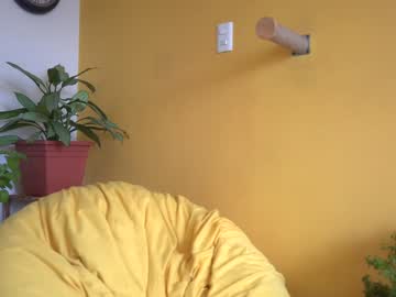 cam girl porn maria_alfonsina image #2982044