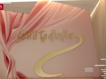 cam girl porn wildtequilla image #3393402