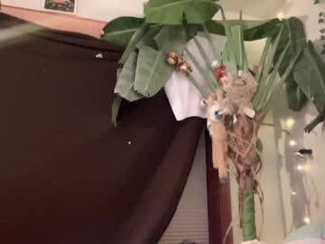 cam girl porn bananascoconutz image #6367999