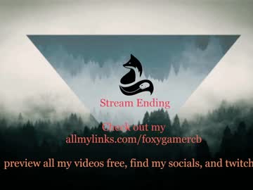 cam girl porn foxy_gamer image #4425018