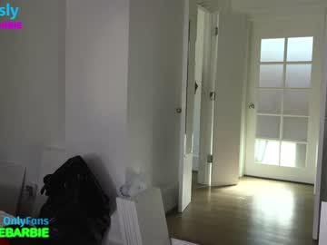 cam girl porn wildwifebarbie image #6114824