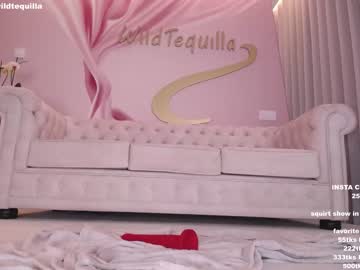 cam girl porn wildtequilla image #3621050