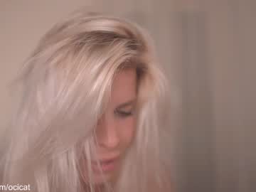 cam girl porn ocicat image #2683754