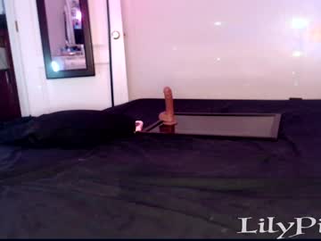 cam girl porn lilypixel image #4716937